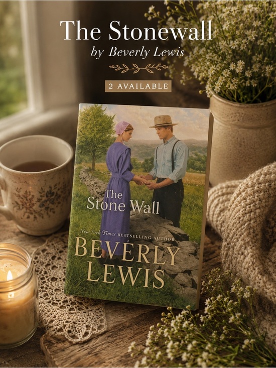 Other - The Stonewall by Beverly Lewis